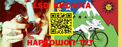 крисы Берёзовский