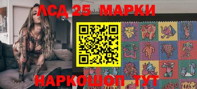 СК Бийск