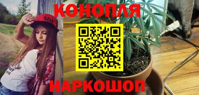крисы Берёзовский