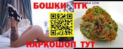 СК Бийск