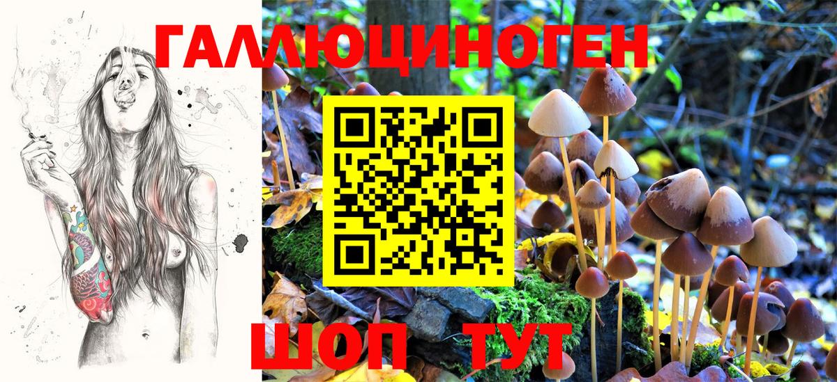 Галлюциногенные грибы ЛСД  Галлюциногенные грибы GOLDEN TEACHER  Вход с VPN  купить   Камень-на-Оби 