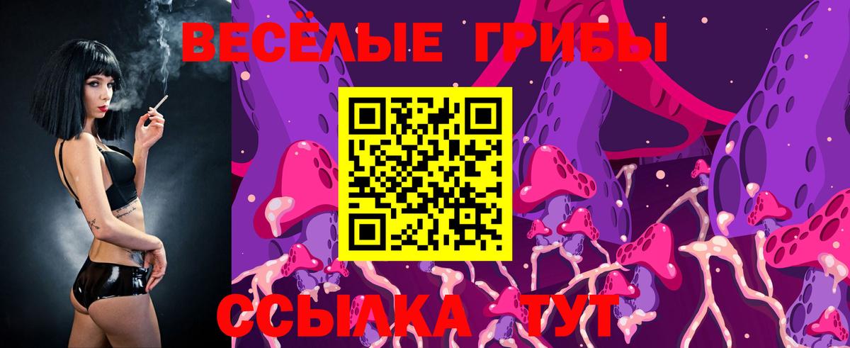 Меф кристаллы  ГАШИШ  Амфетамин кристаллы  MDMA  Камень-на-Оби  Вход с VPN  МЕФ  КОКАИН  Cocaine  ГАШ  Альфа ПВП СОЛЬ  